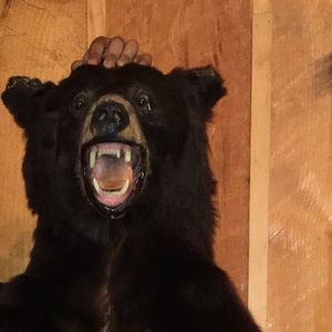 Meet your Posher, Roberto